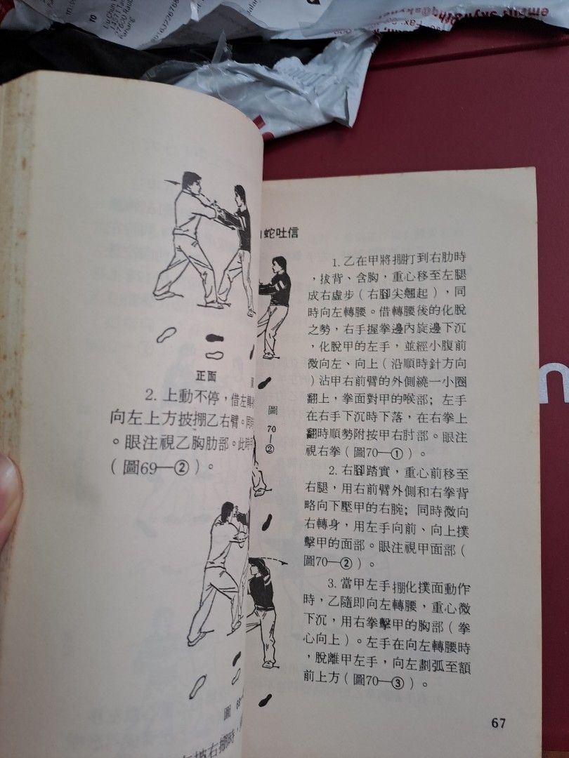 陳炎林 散手對打太極拳