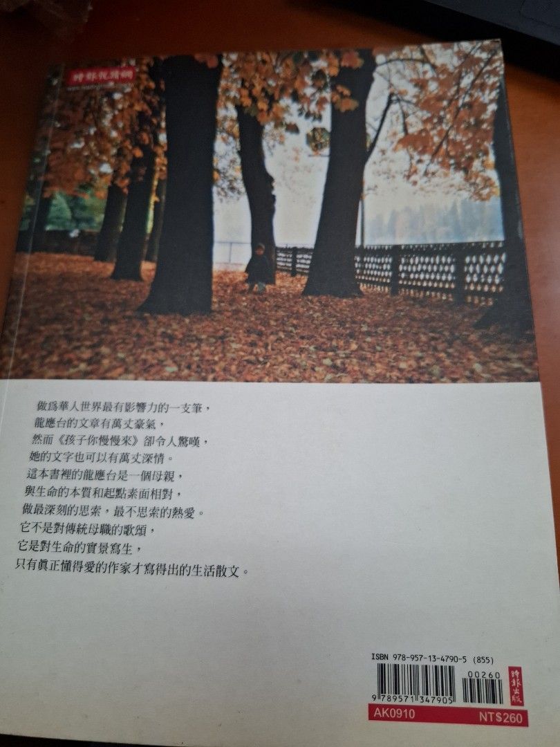 孩子你慢慢來 龍應台