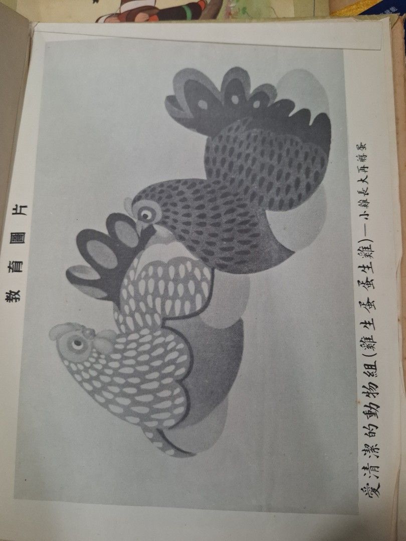 50年代香港教育圖片 愛清潔的動物組