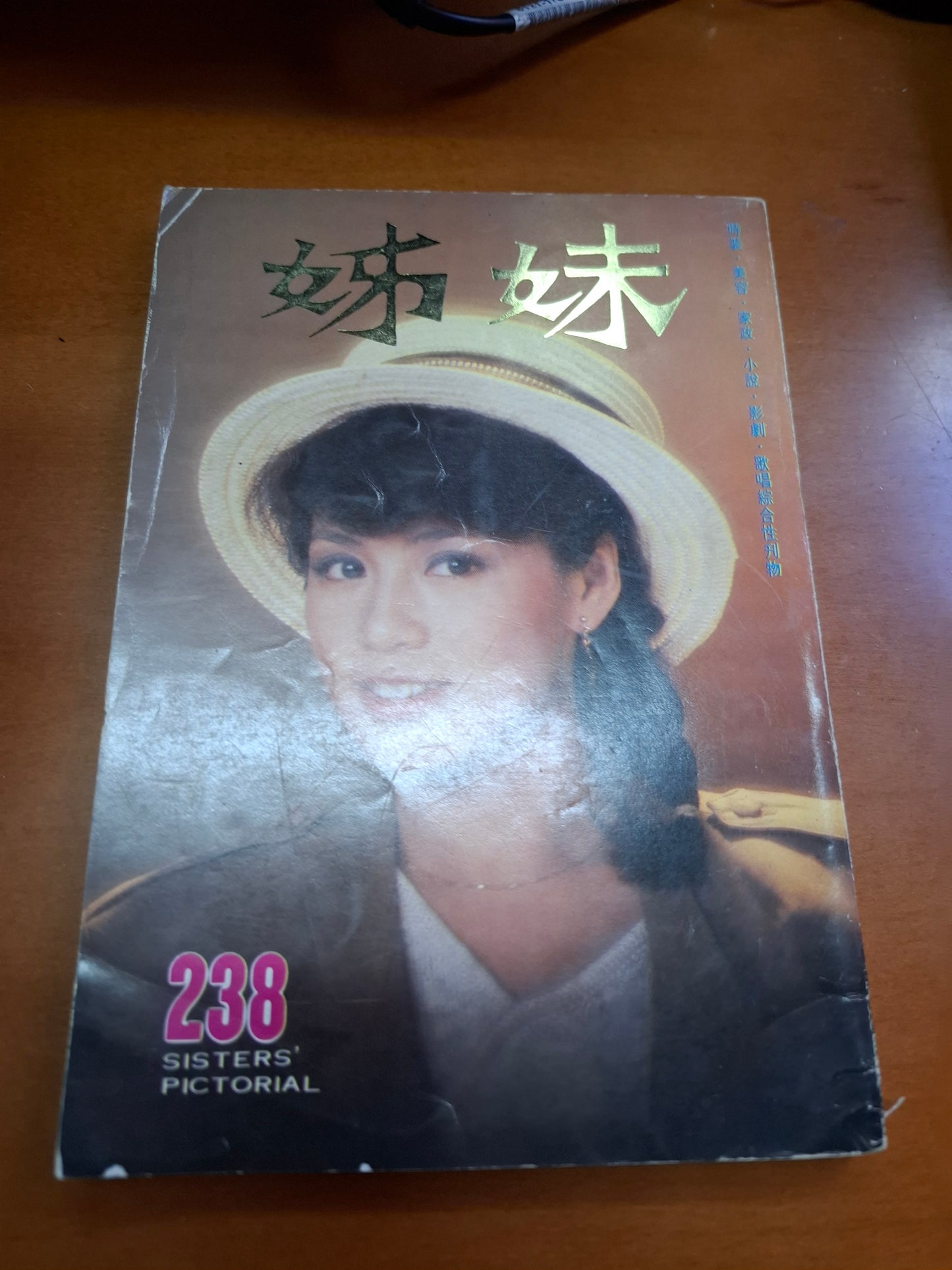 姊妹 238 翁美玲