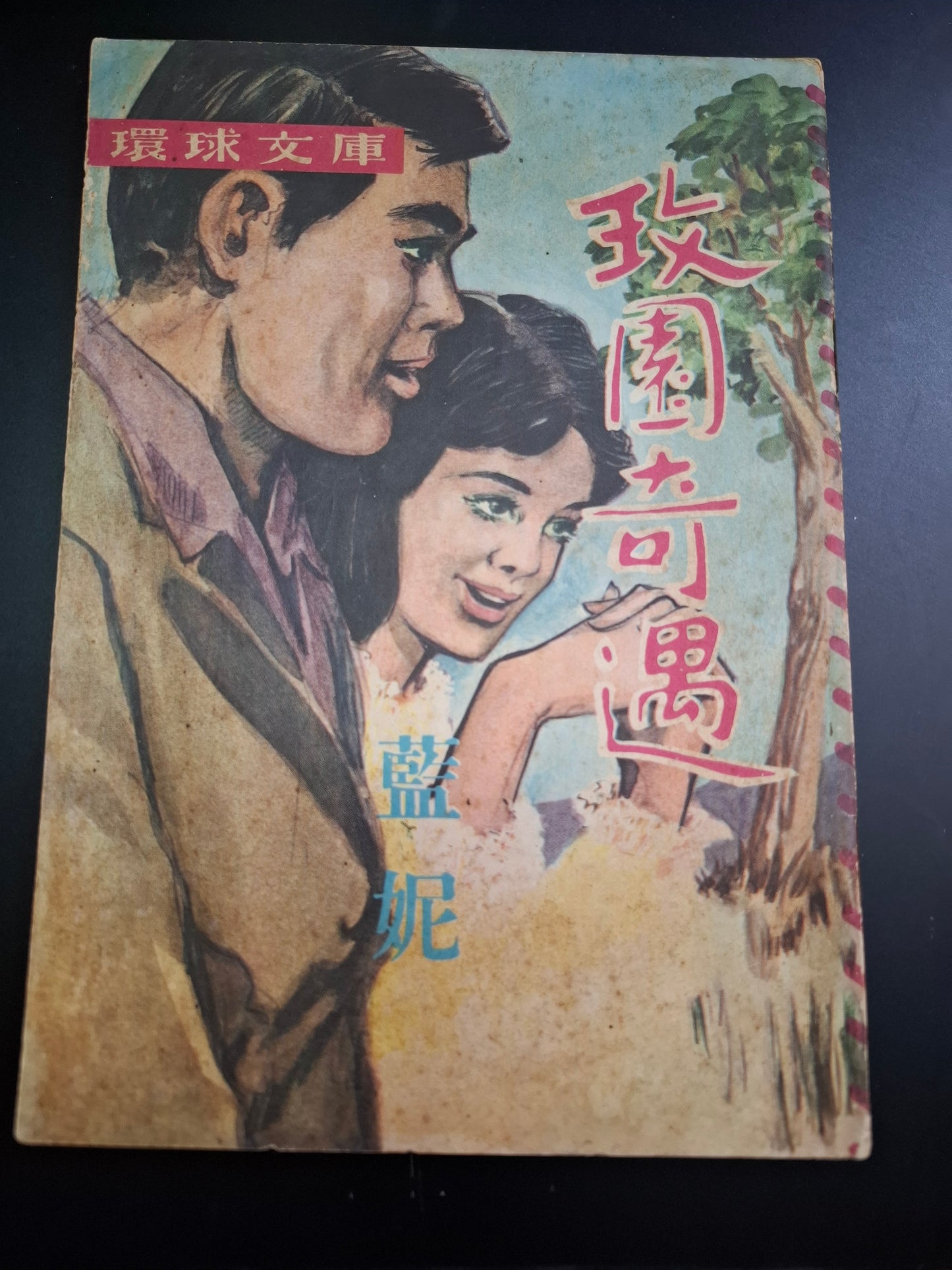 藍妮 玫園奇遇 四毫子小說 環球文庫