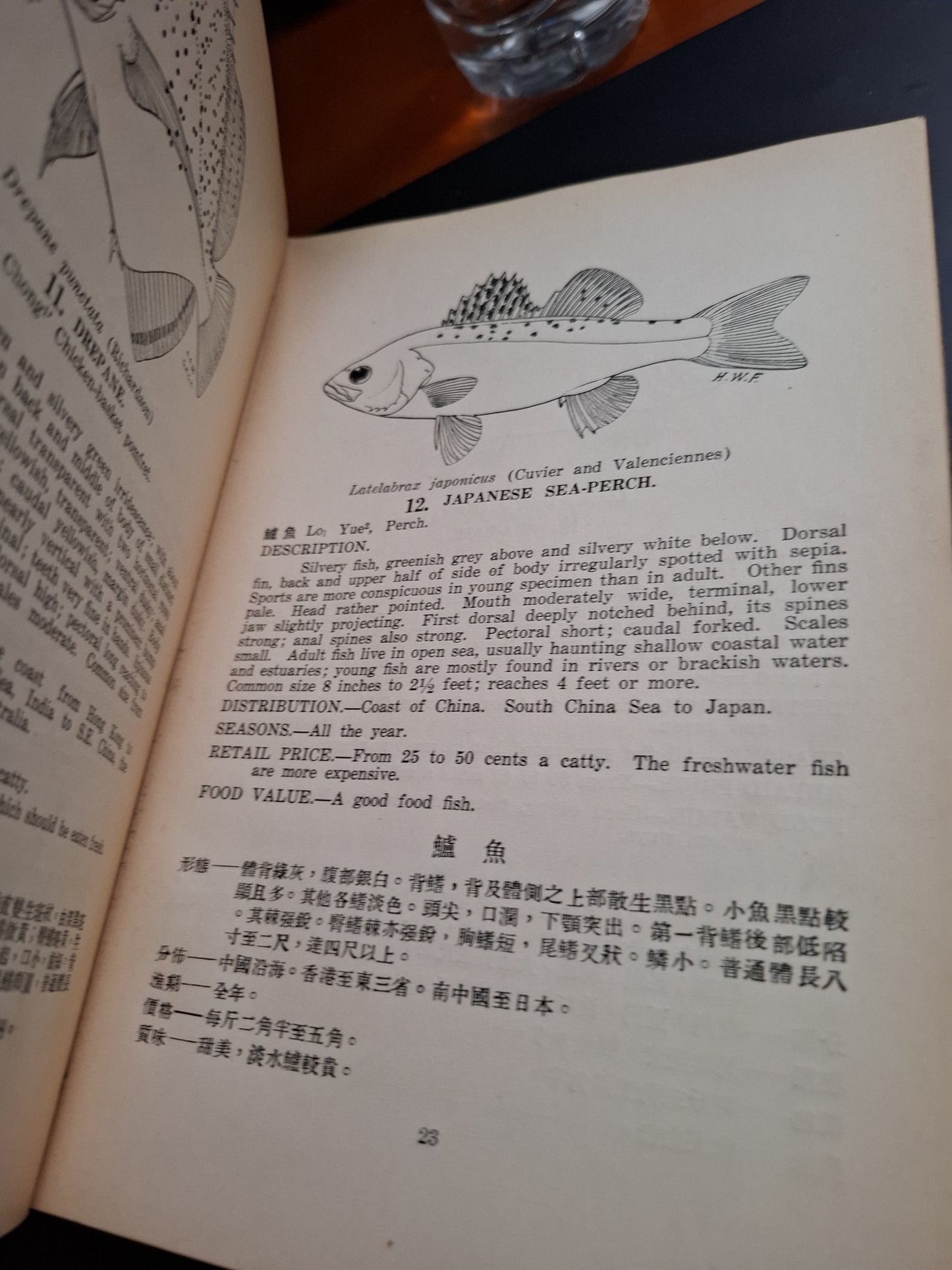 香港食用魚類圖誌 Common Marine Food fishes of Hong Kong 香樂思 GAC HERKLOTS