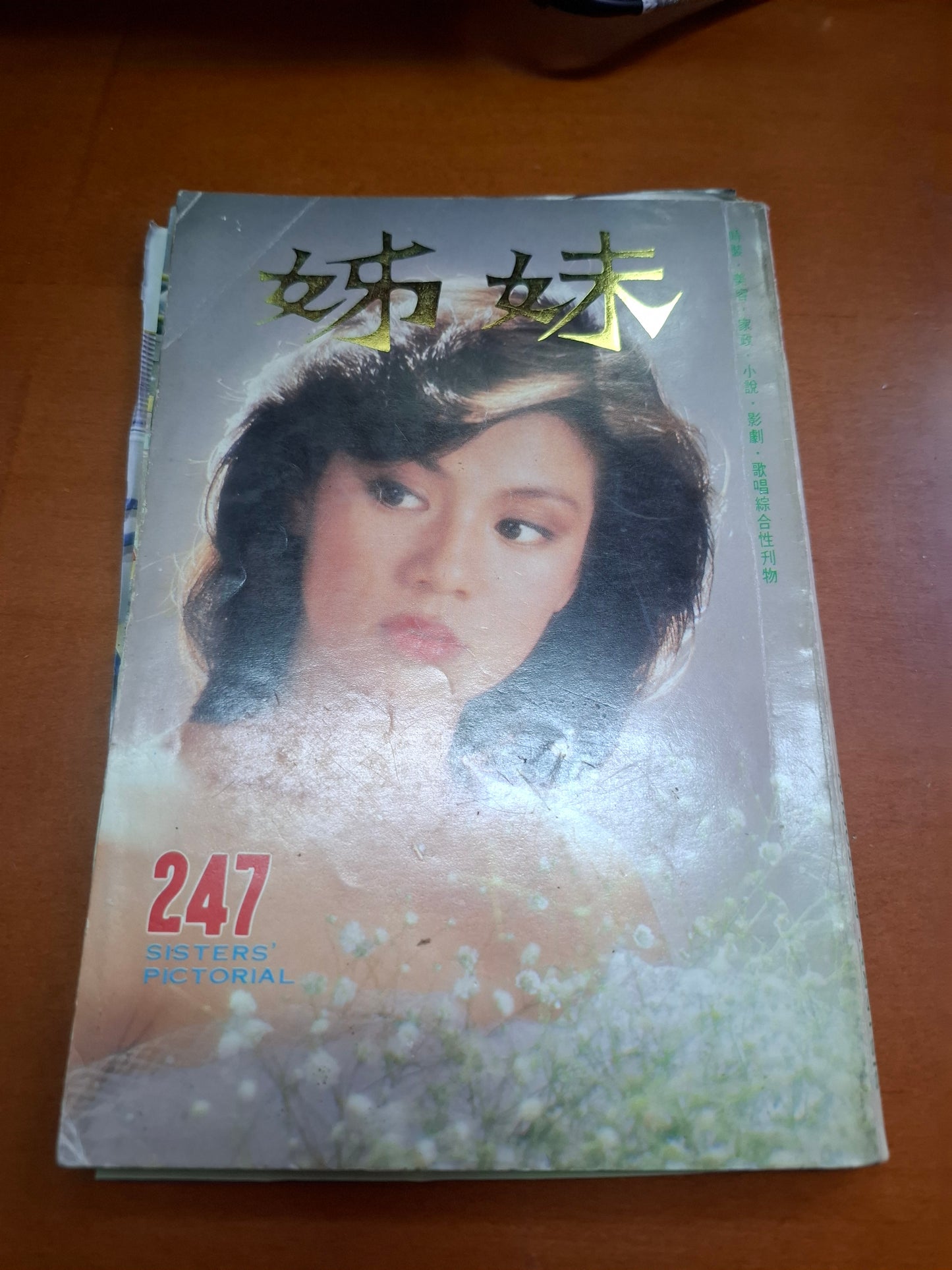 姊妹 247 翁美玲