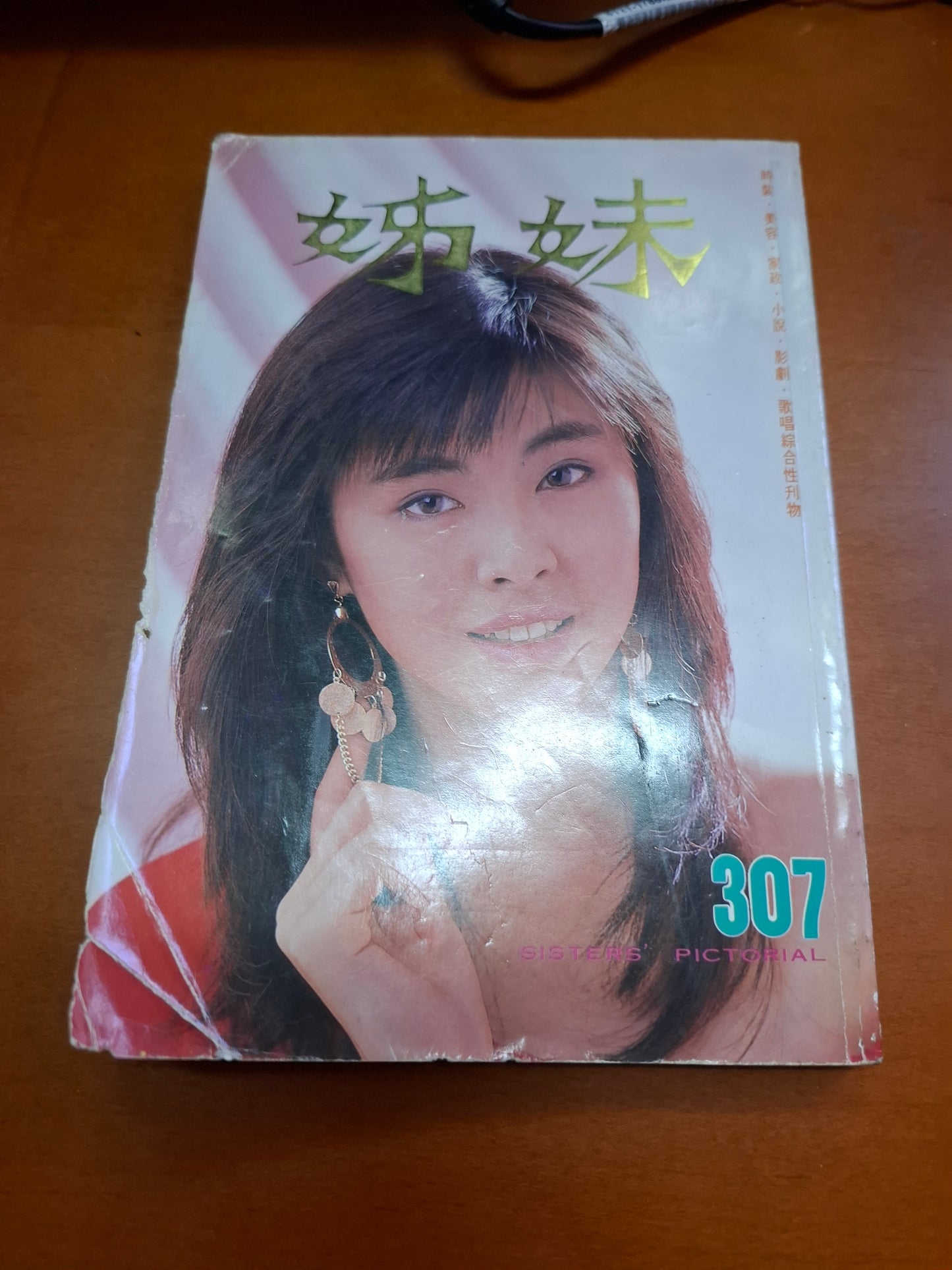 姊妹 307 王祖賢