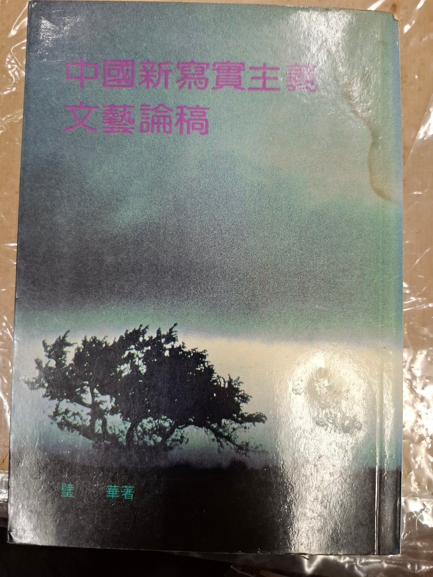 中國新寫實主義文藝論稿