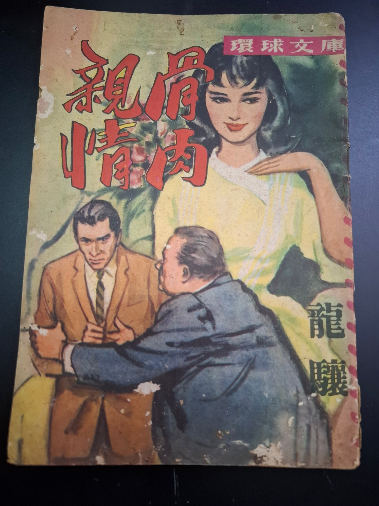 龍驤 骨肉親情 四毫子小說 環球文庫
