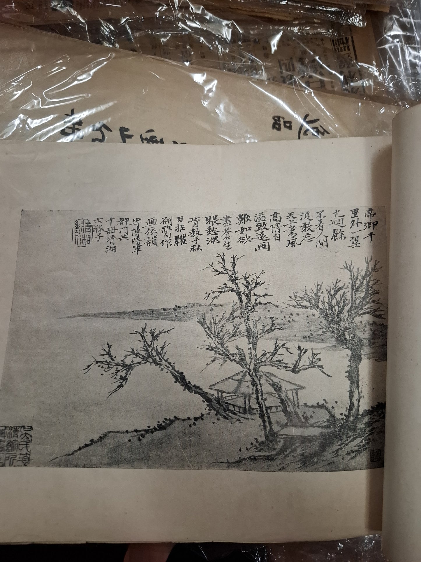 石濤上人山水冊 網目版精印 有正書局 1924年 胡少雲藏書 民國線裝畫冊
