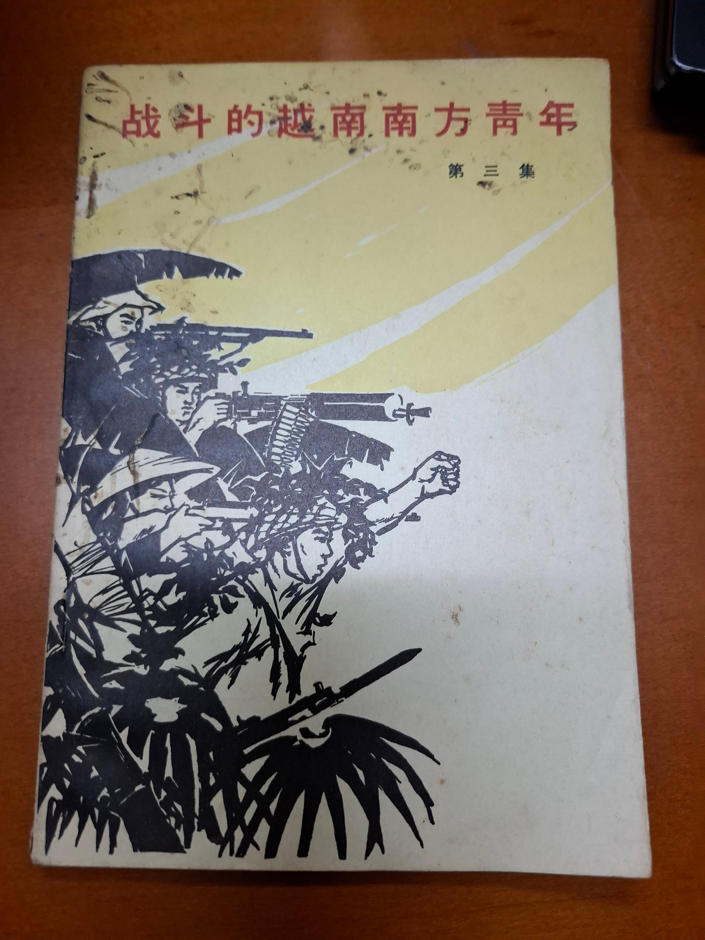 戰鬥的越南南方青年 第三集