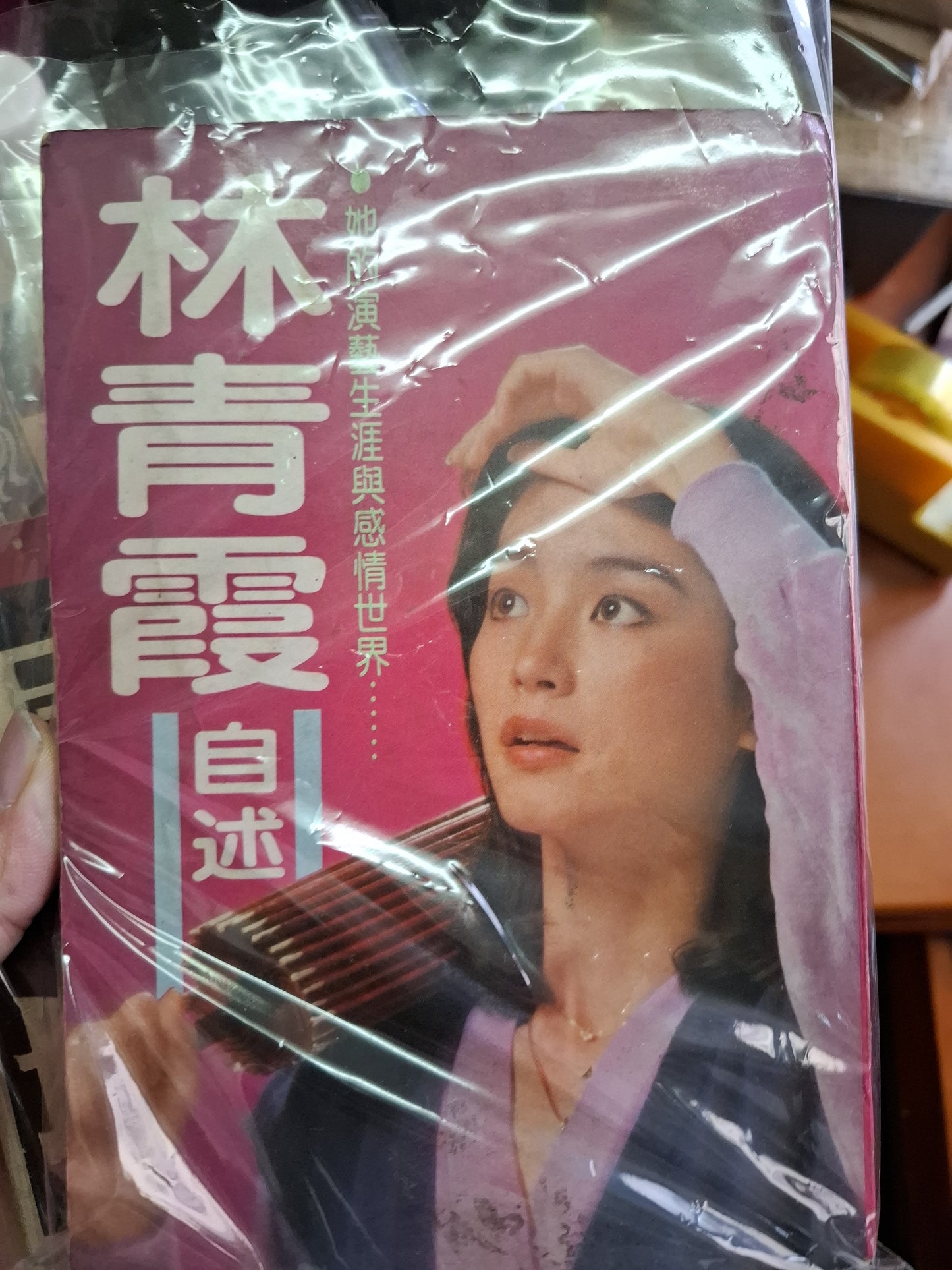 1979年 林青霞自述 你我他雜誌社叢書 世界書局