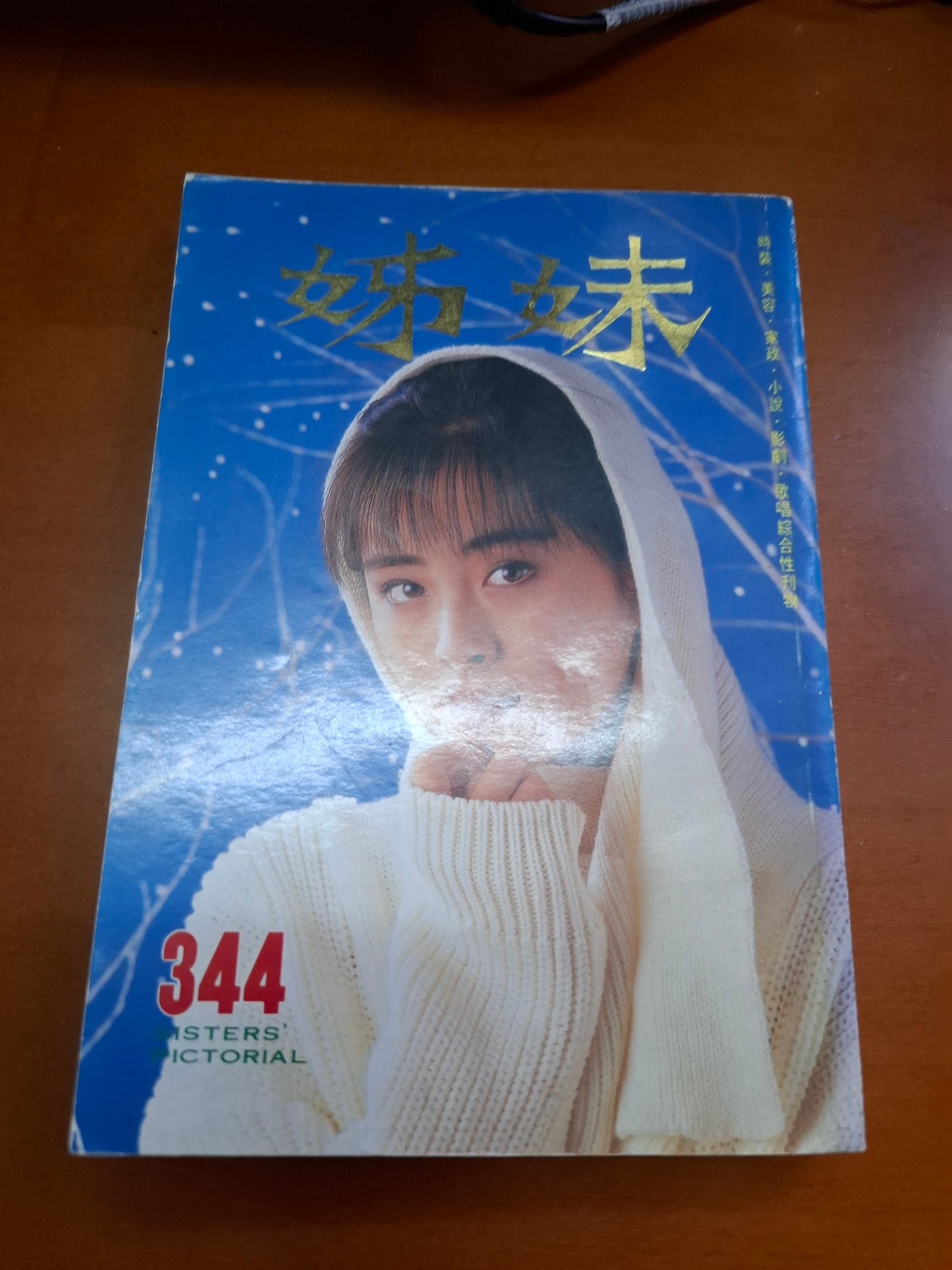 姊妹 344 王祖賢