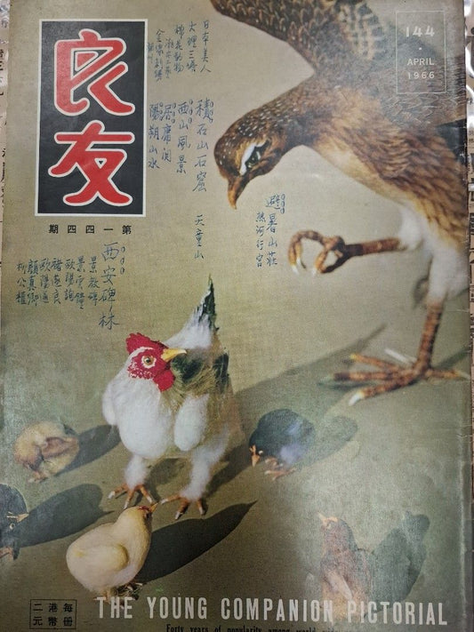 良友畫報 144期