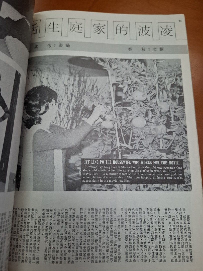 娛樂畫報 152期 白茵
