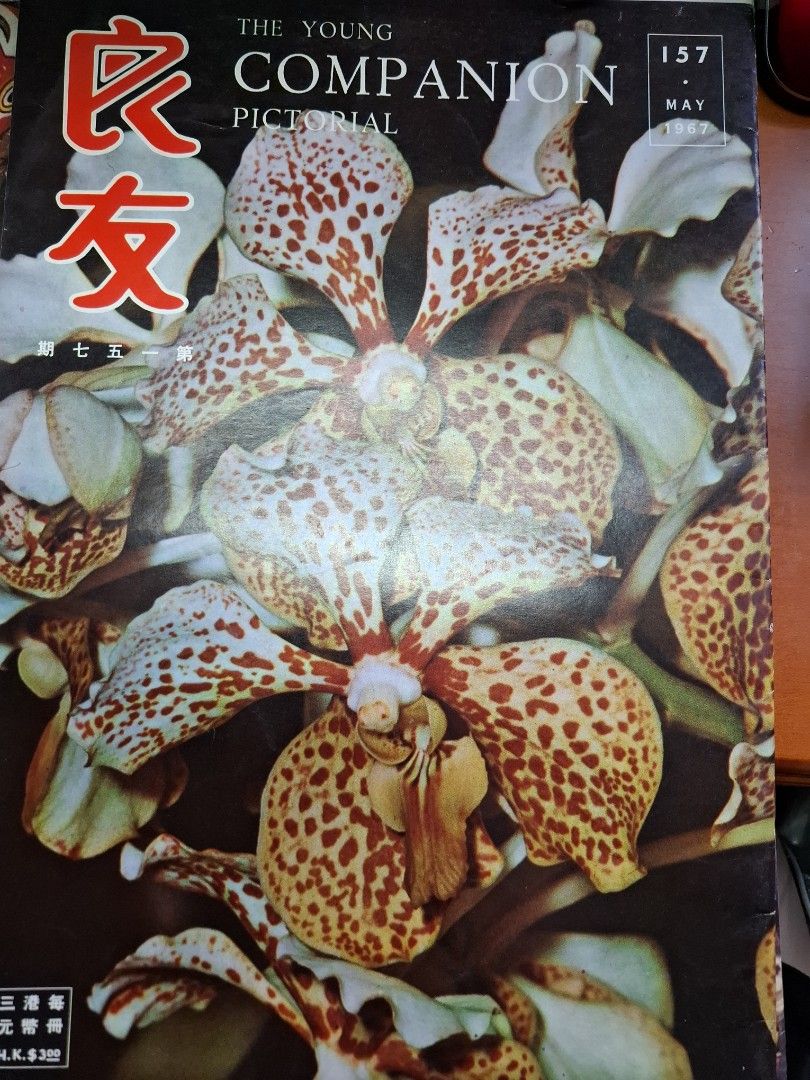 良友畫報 157期