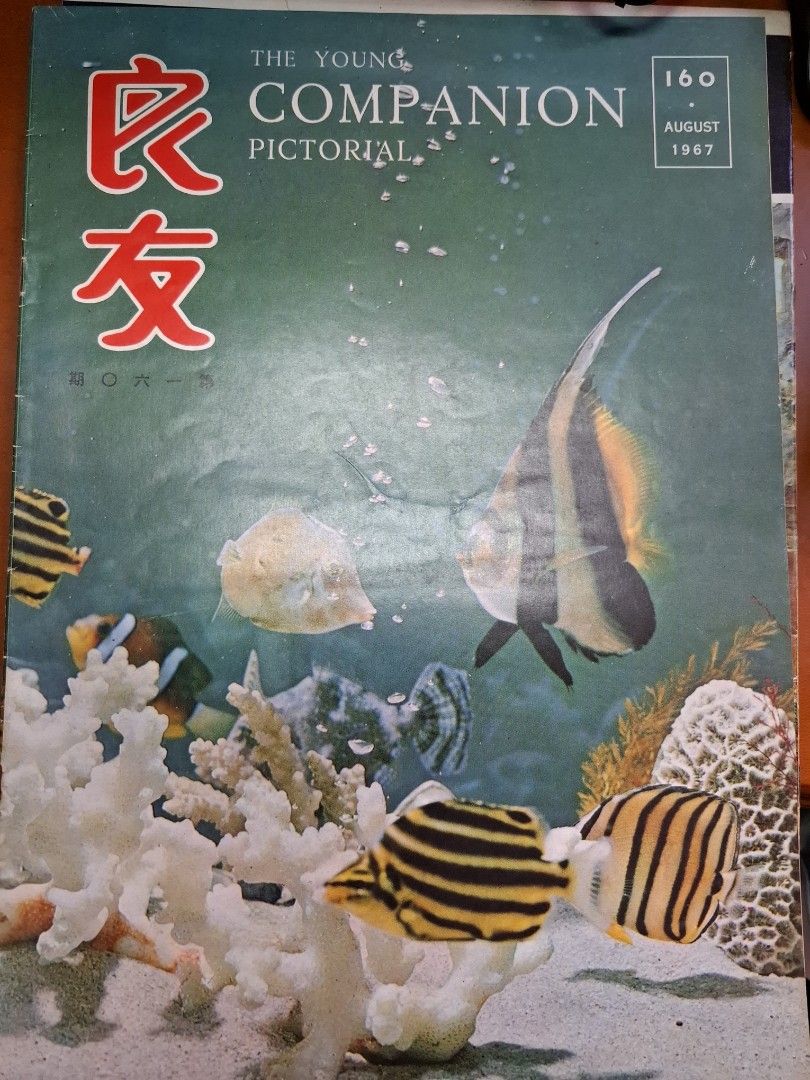 良友畫報 160期
