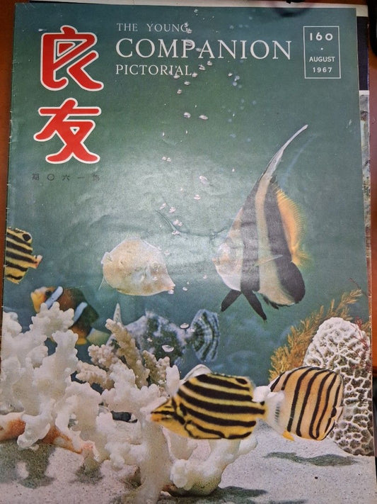 良友畫報 160期