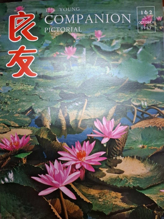 良友畫報 162期