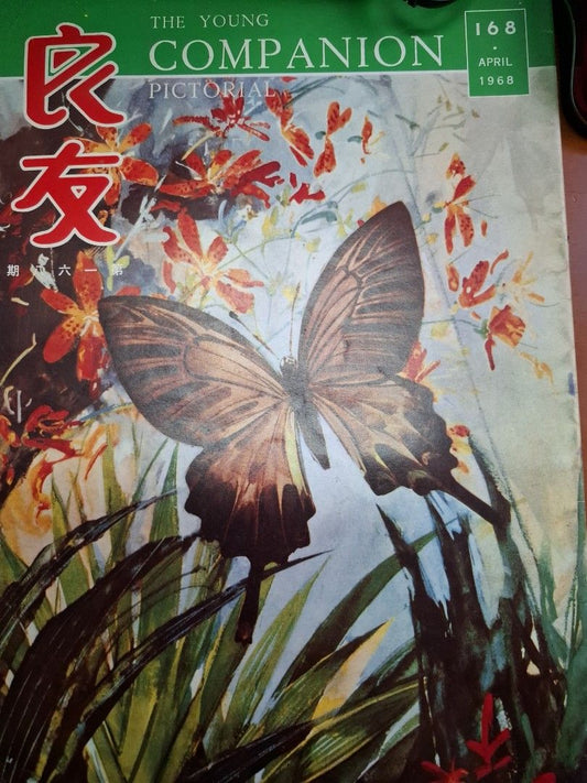 良友畫報 168期
