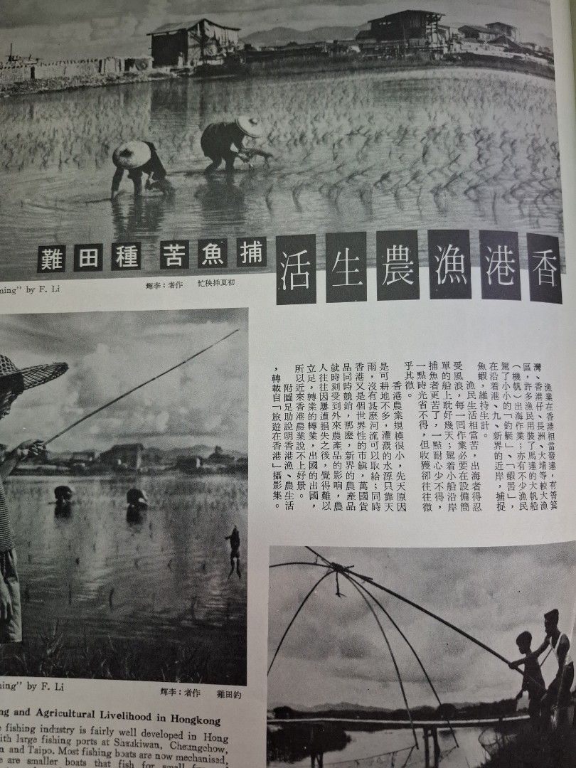 良友畫報 172期