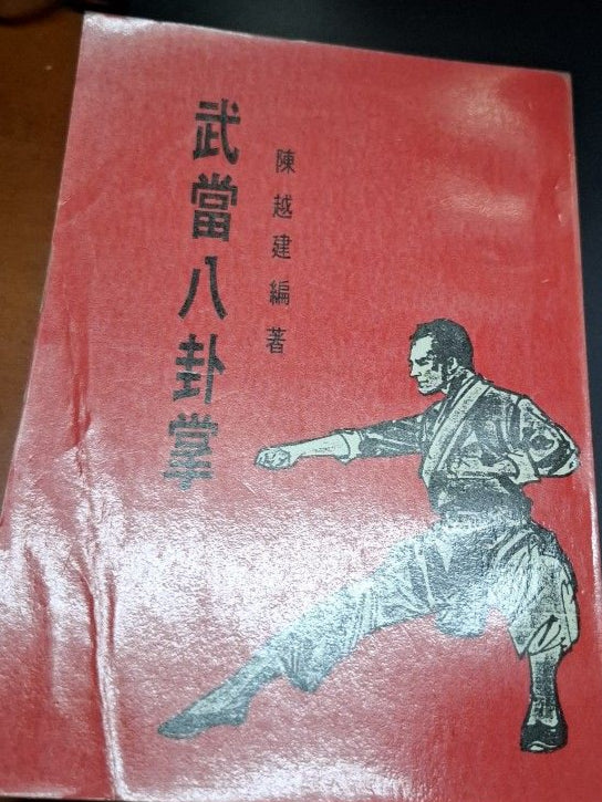 陳越健 武當八卦掌