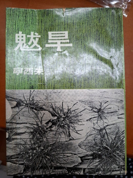 旱魃 朱西寧