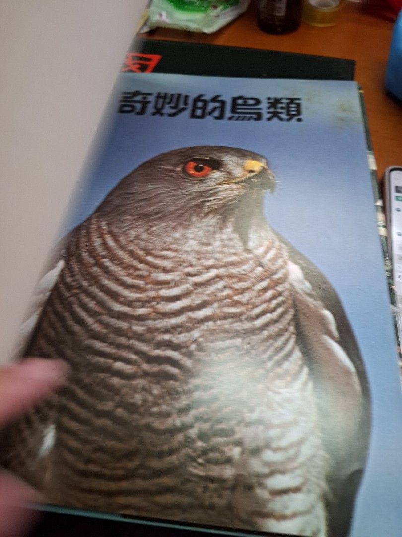 奇妙的鳥類 海洋公園自然叢書