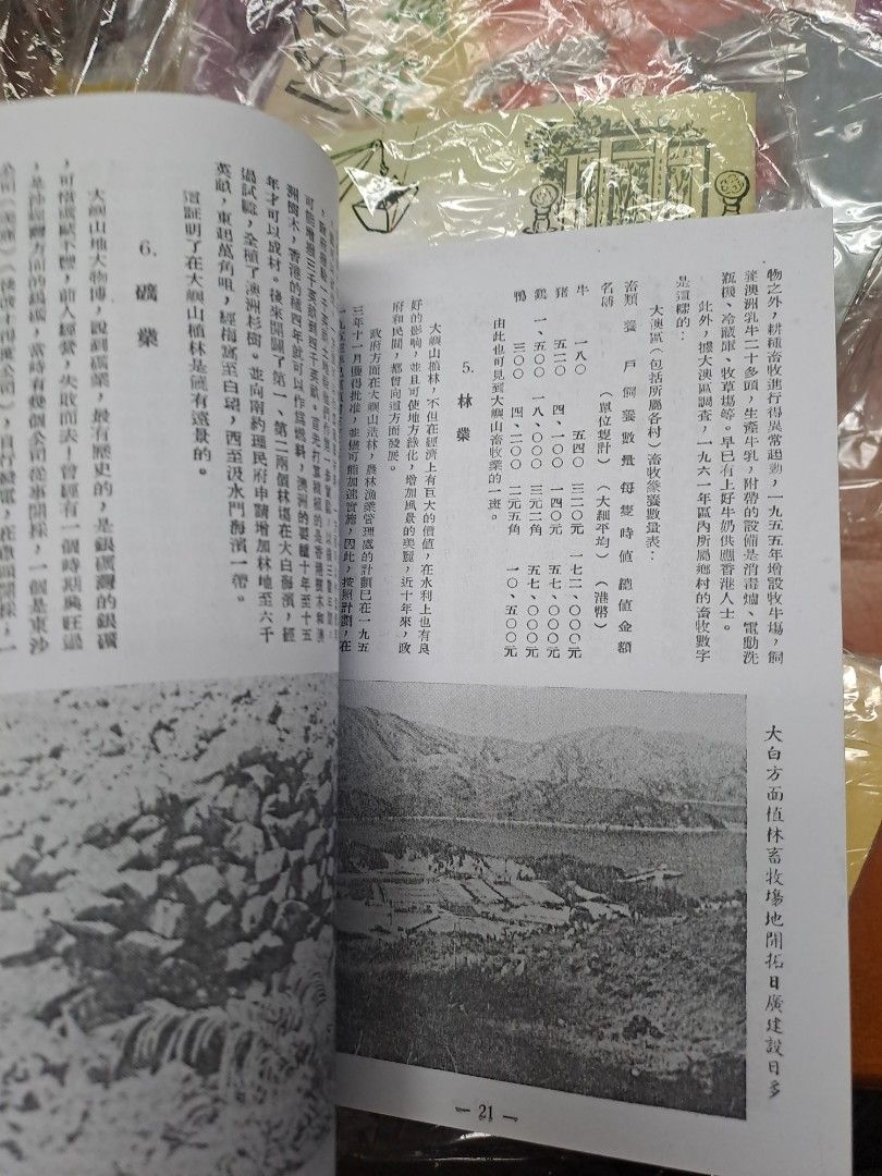 今日大嶼山 華僑日報 吳灞凌 影印本