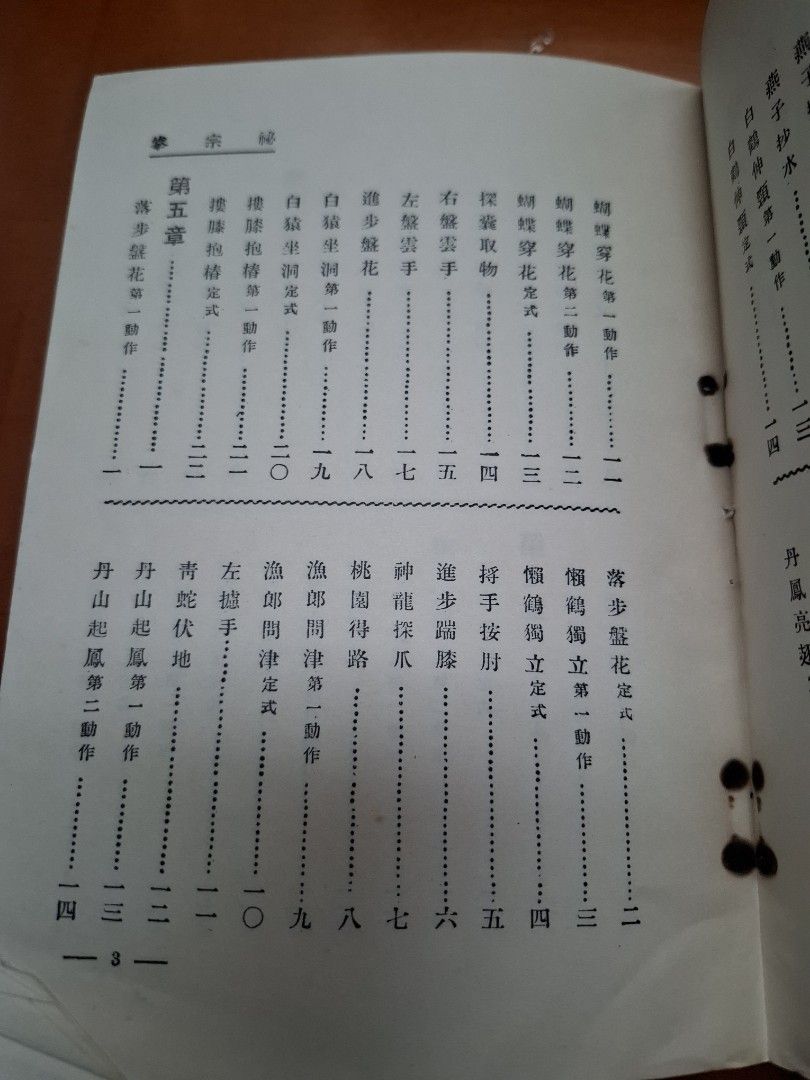寫真秘宗拳 姜容樵 麒麟圖書公司
