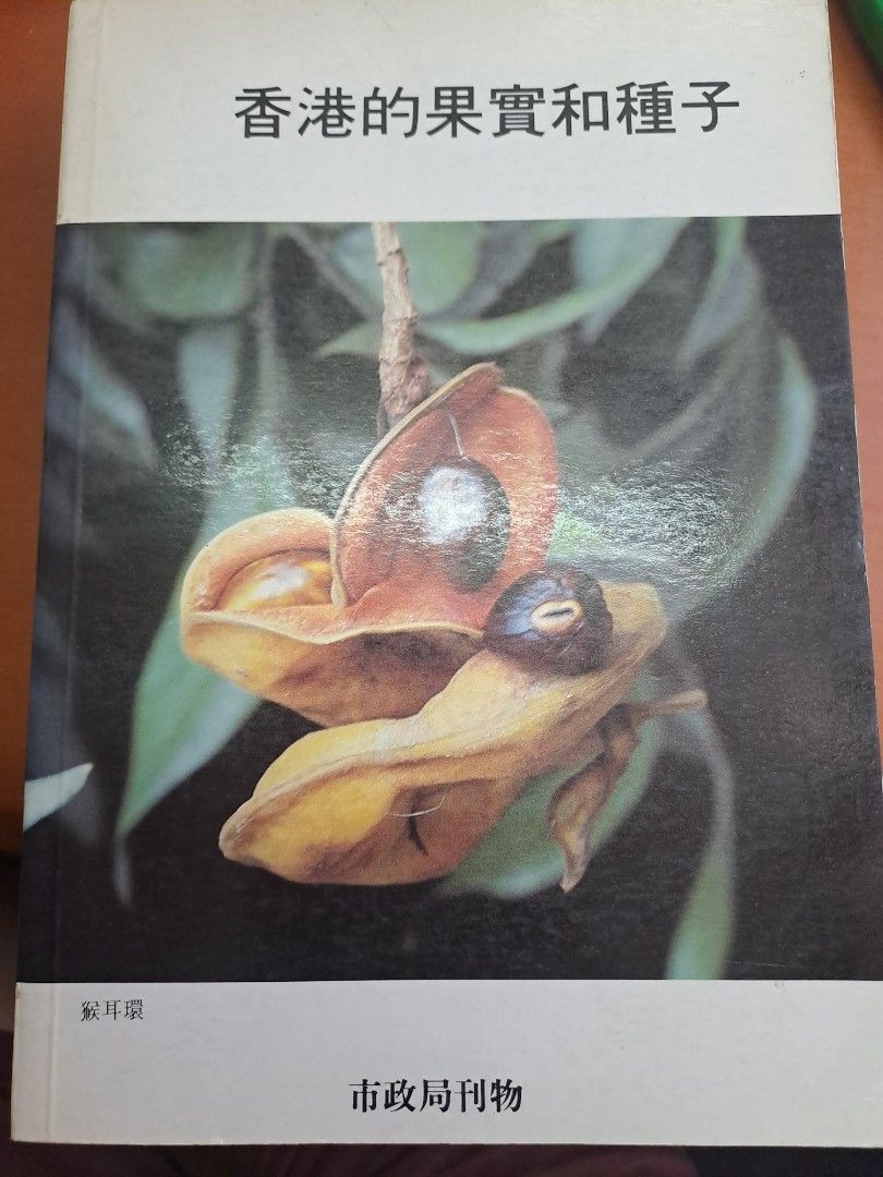 香港的果實和種子
