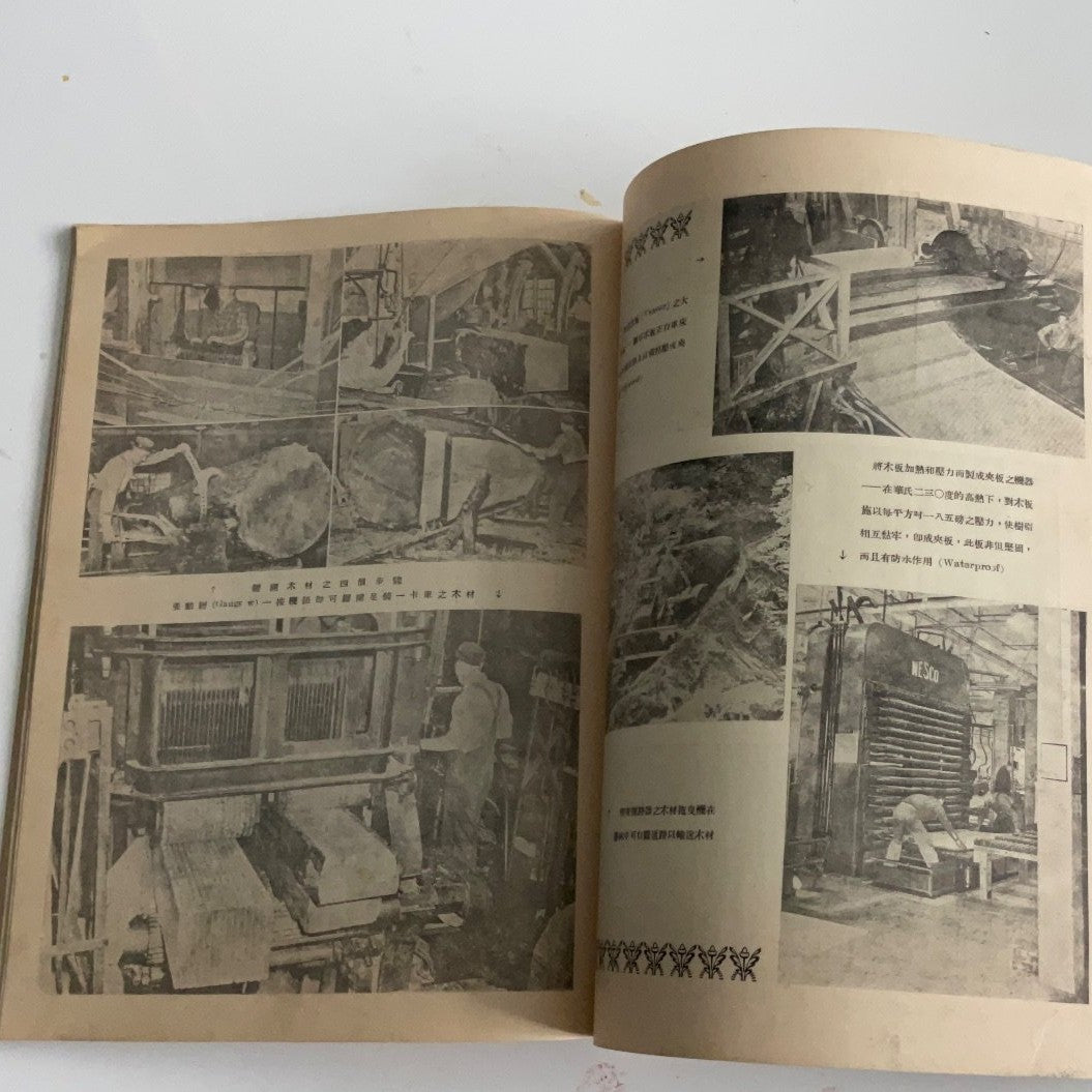 港九杉集行商會會刊 #