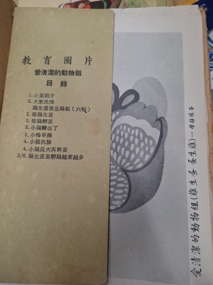 50年代香港教育圖片 愛清潔的動物組