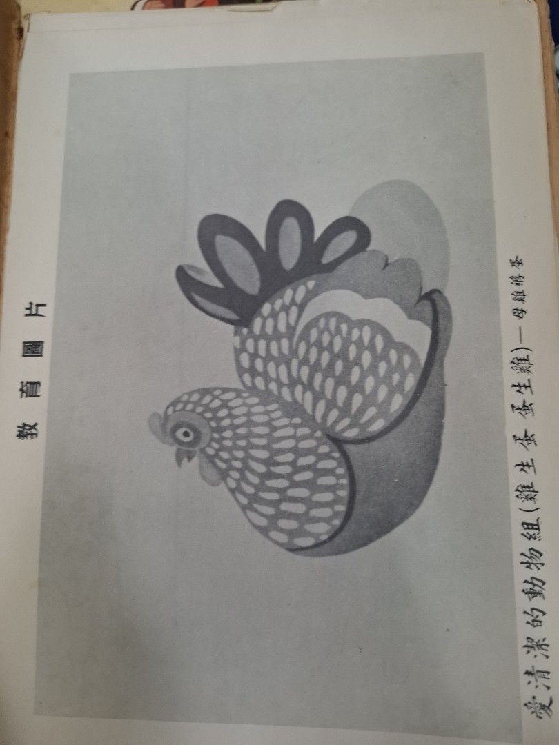 50年代香港教育圖片 愛清潔的動物組