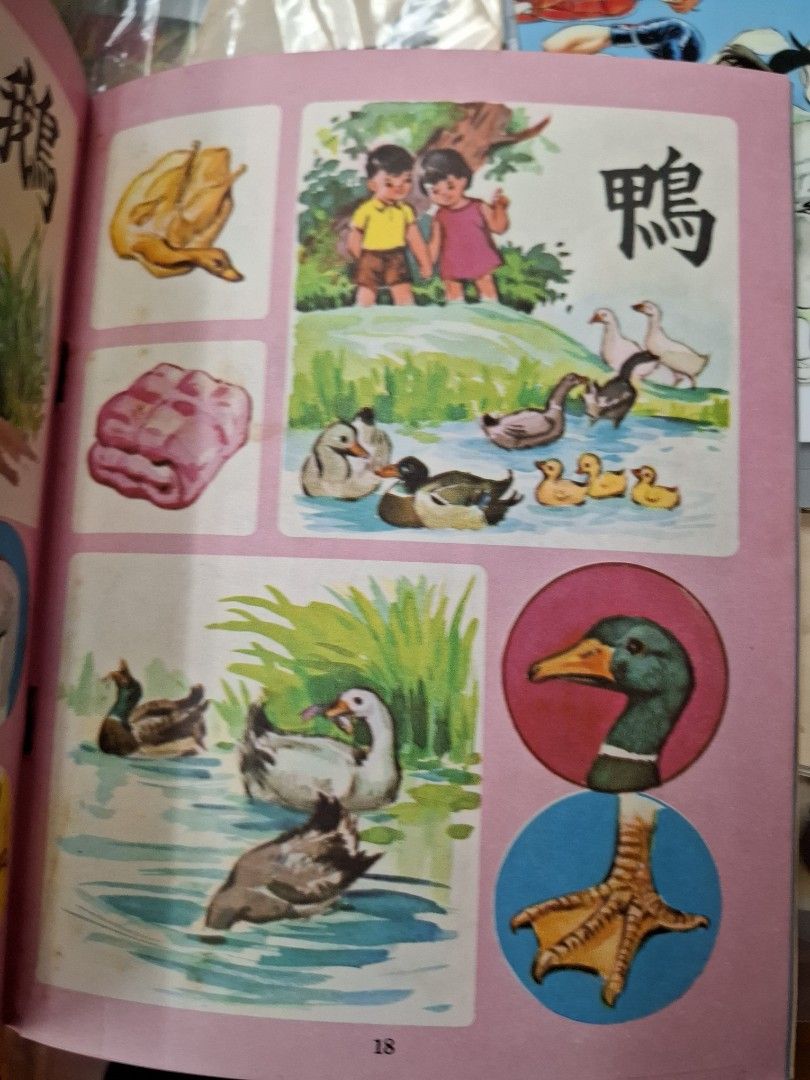 60年代香港幼稚園常識課本 新編幼稚園常識 第二冊
