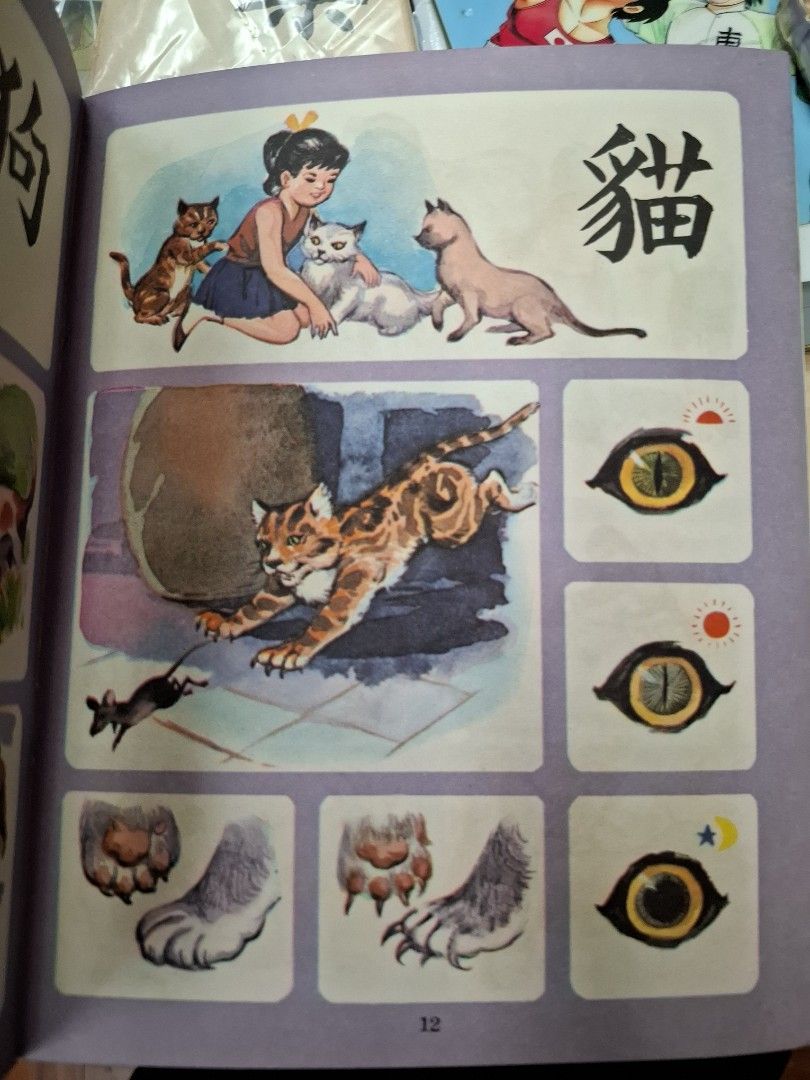 60年代香港幼稚園常識課本 新編幼稚園常識 第四冊