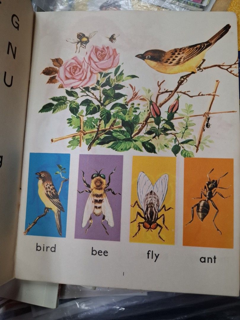 60年代香港幼稚園英文課本 The Children's Own Picture Book 4