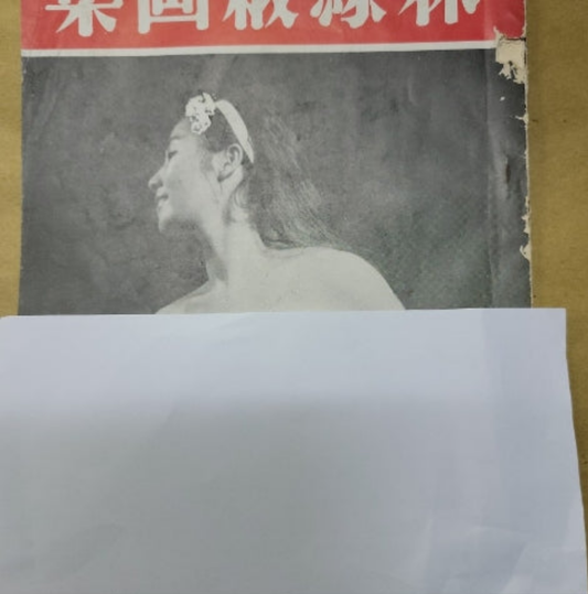 林絲緞畫集