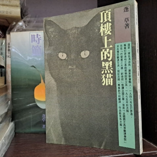 蓬草 頂樓上的黑貓