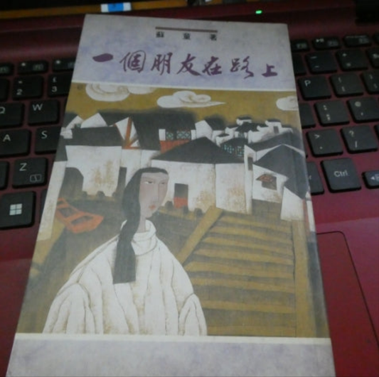 蘇童小說 一個朋友在路上