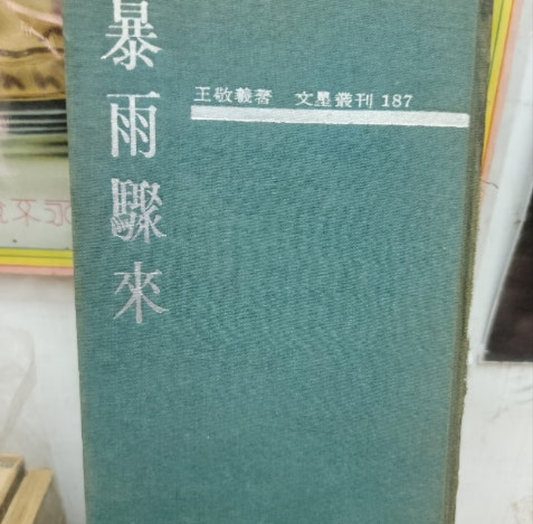 王敬義 暴雨驟來
