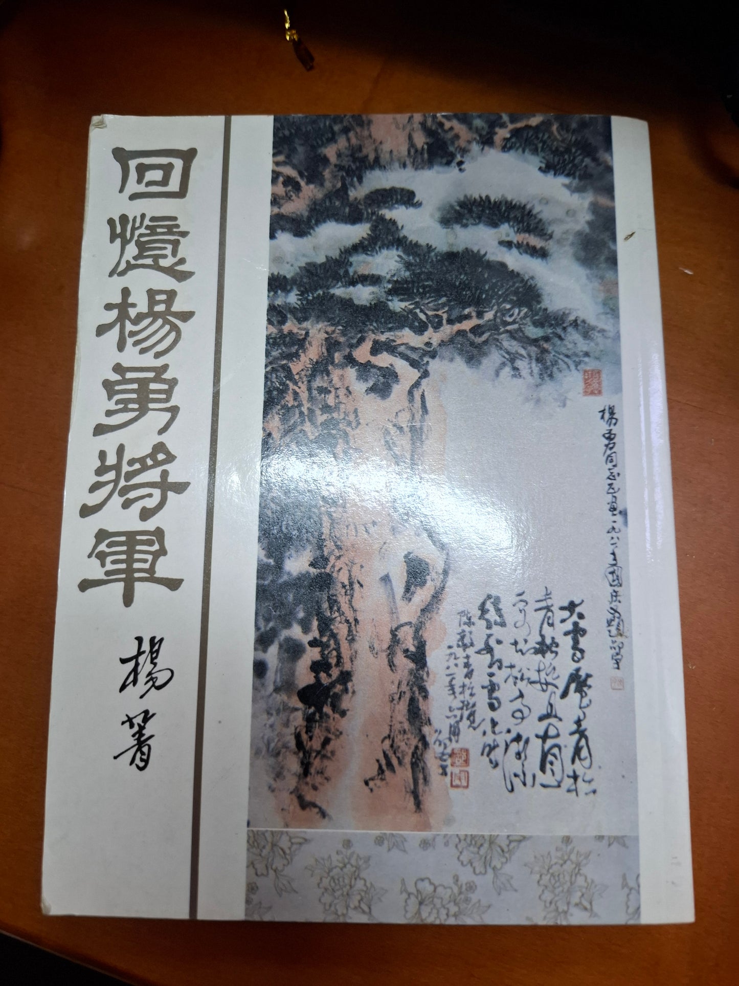 回憶楊勇將軍 楊菁