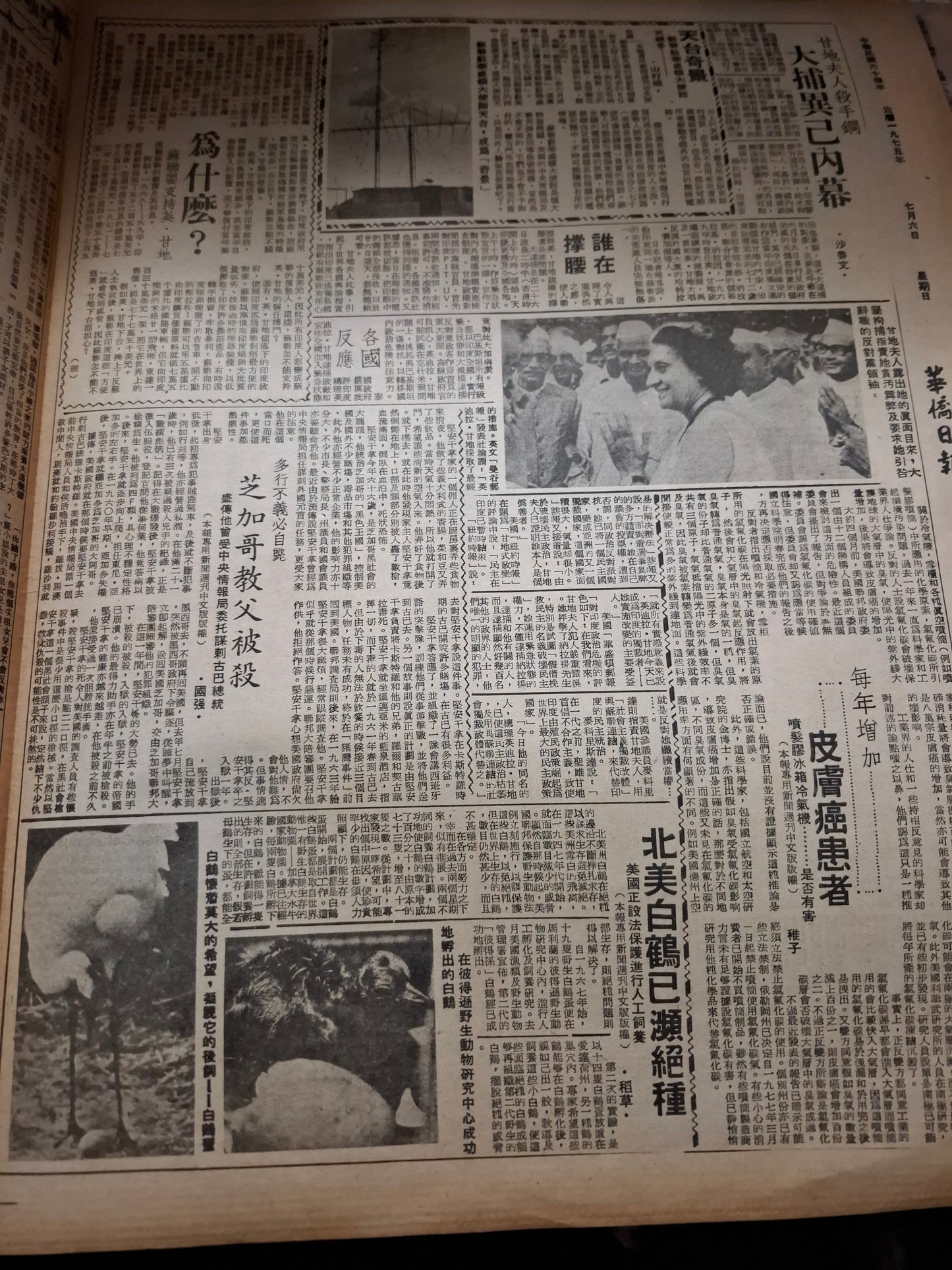 華僑日報星期特刊1975年7月6日