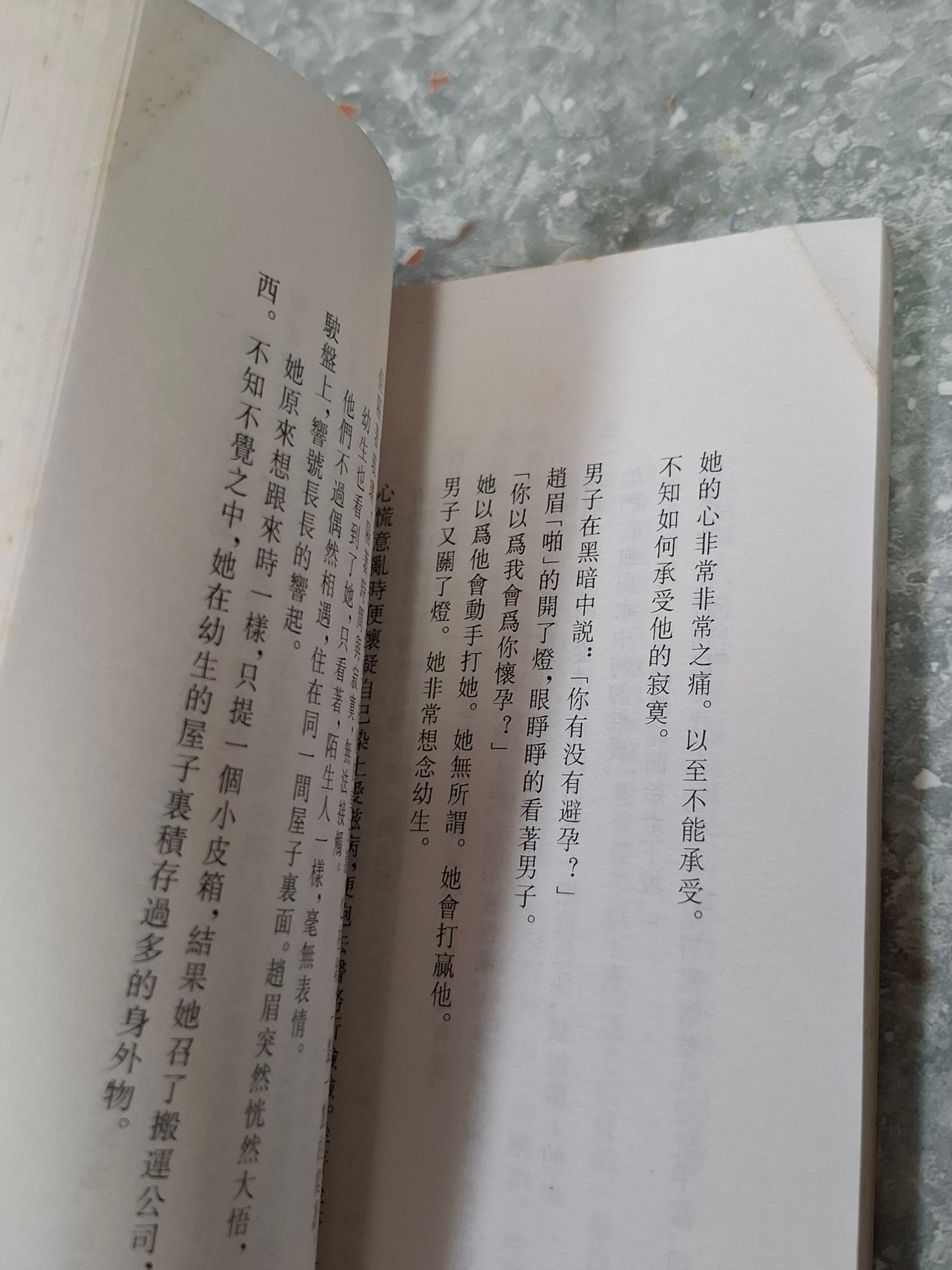 黃碧雲《溫柔與暴烈》