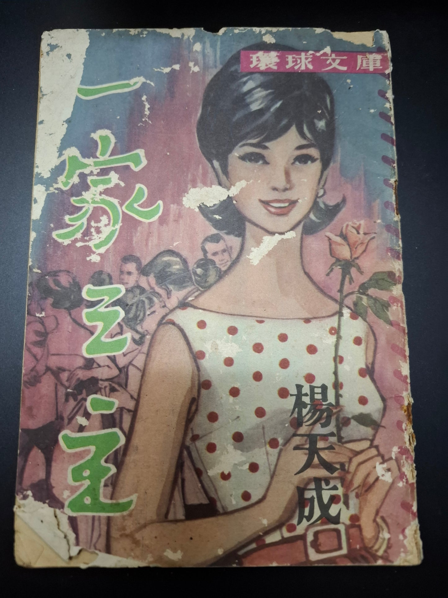 楊天成 一家之主 四毫子小說 環球文庫