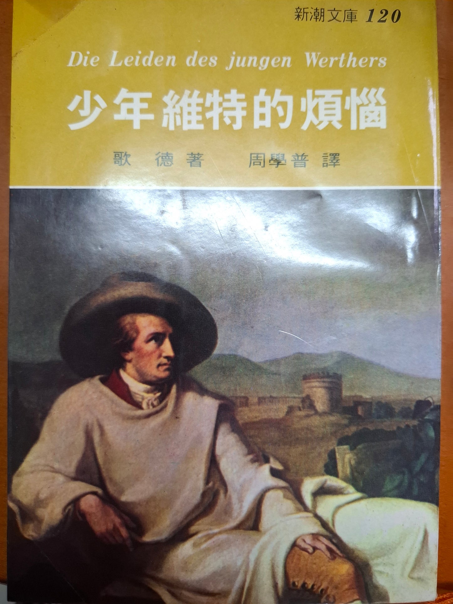 少年維特的煩惱