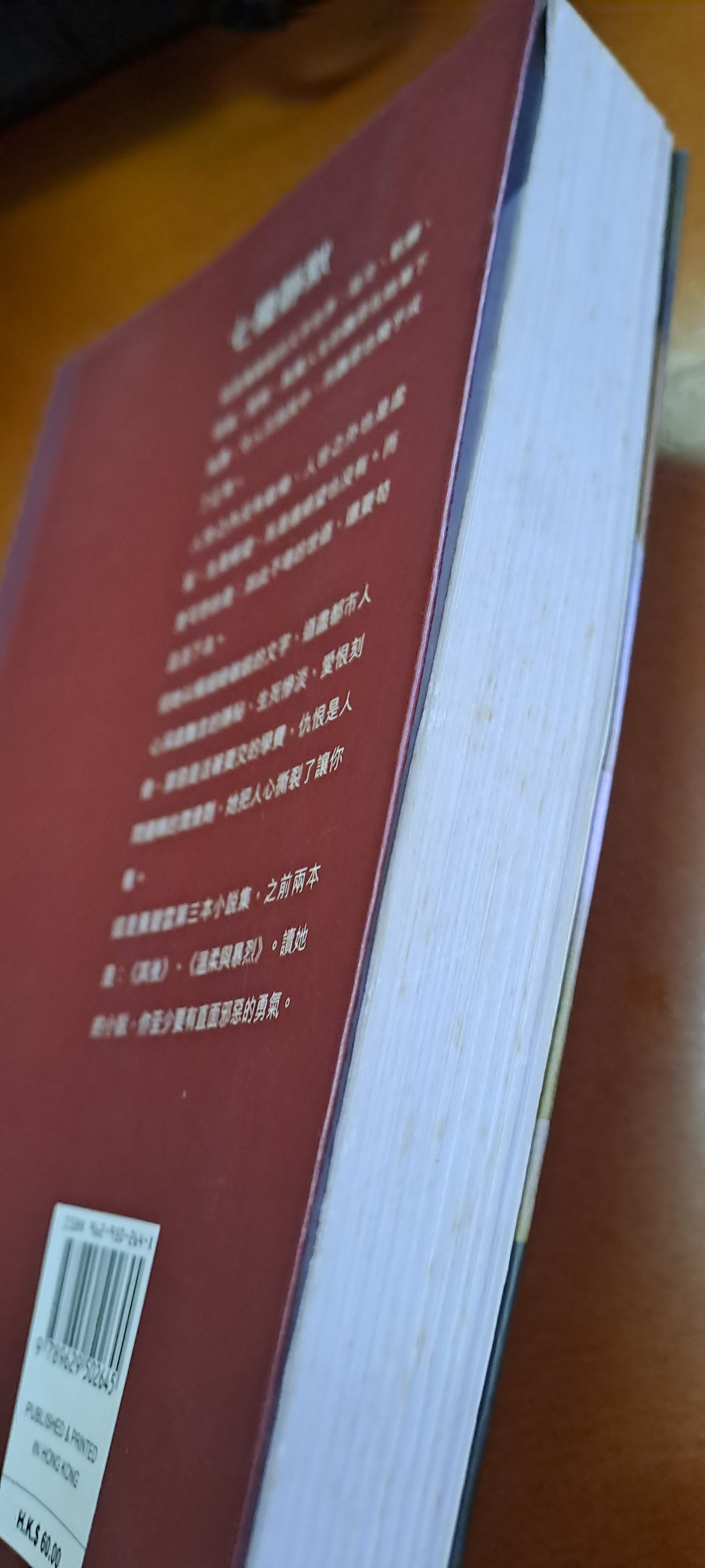 黃碧雲 七種靜默