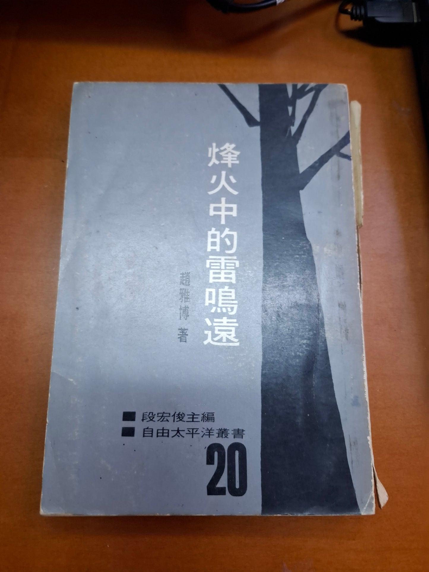 烽火中的雷鳴遠 趙雅博