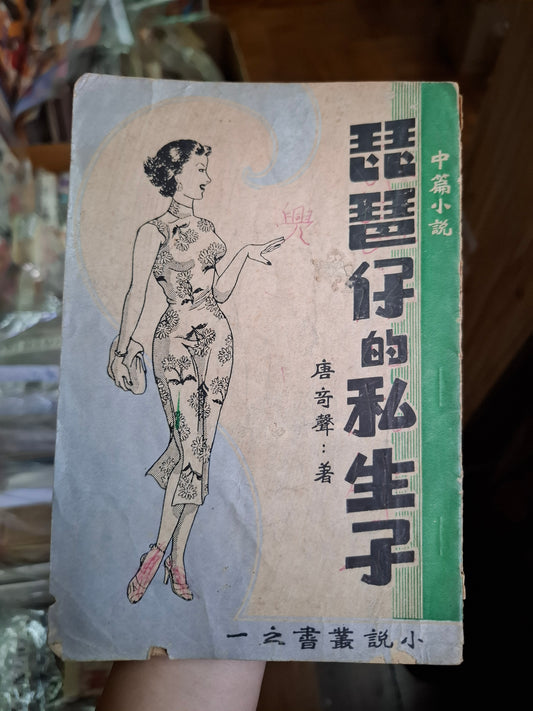 唐奇聲 琵琶仔的私生子