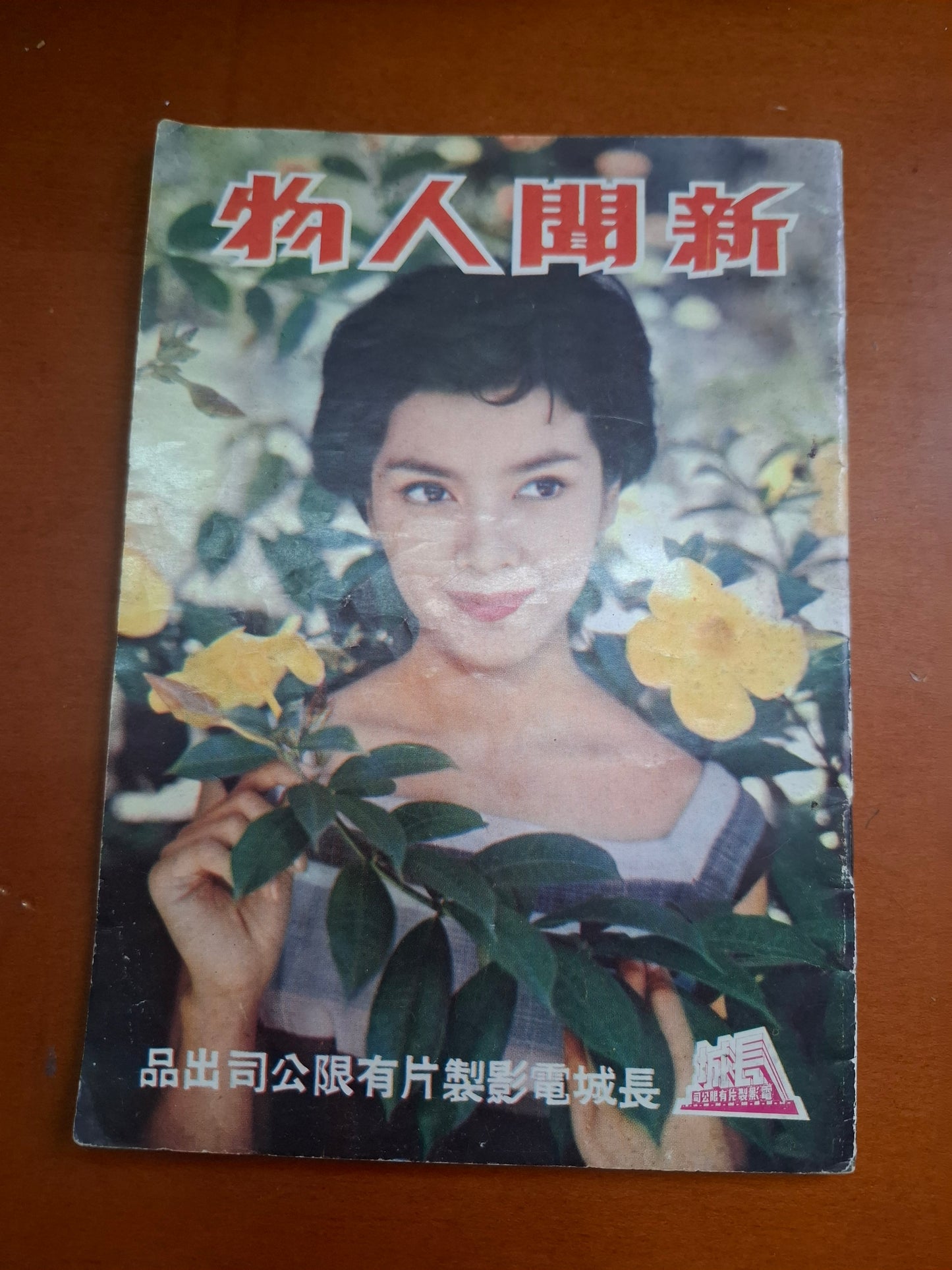 新聞人物 陳思思