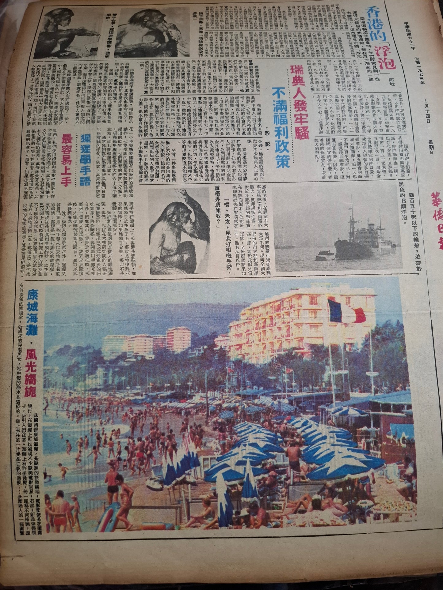 華僑日報1973年10月14日
