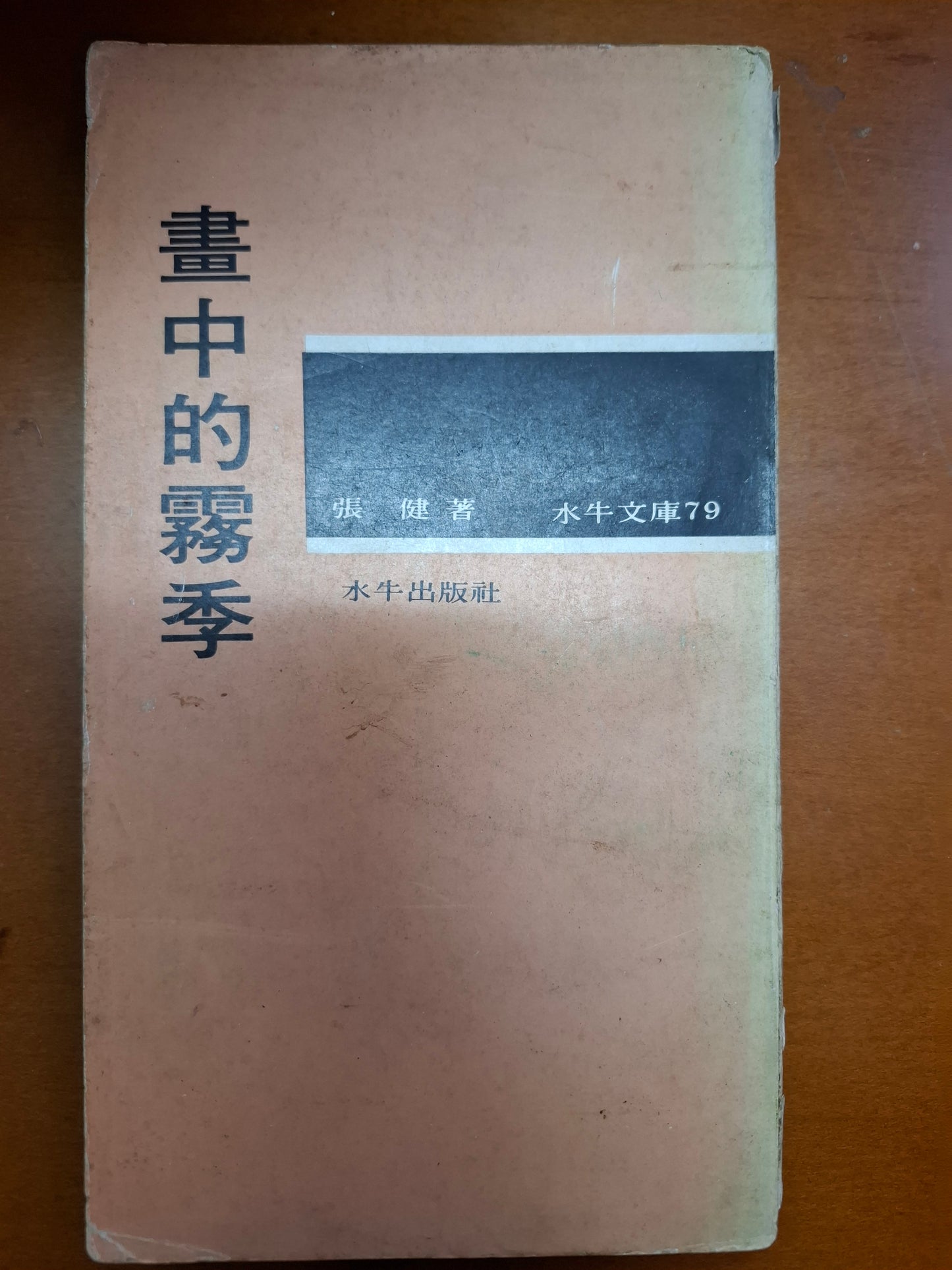 畫中的霧季 張健