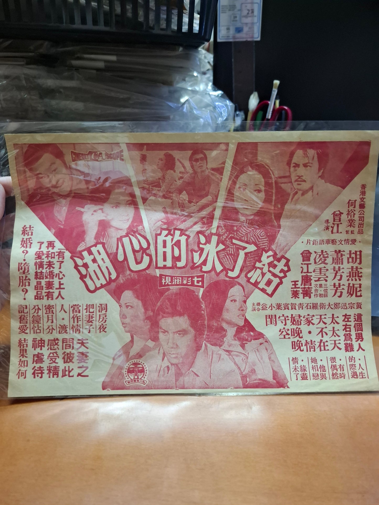 結了冰的心湖 蕭芳芳